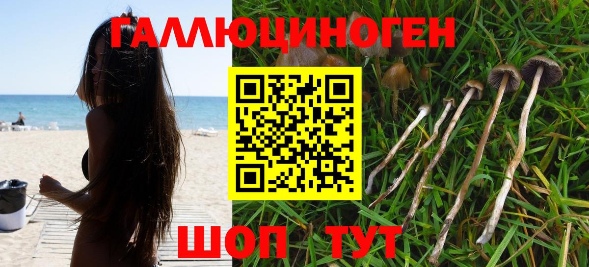 Галлюциногенные грибы мухоморы  продажа наркотиков  Южно-Сахалинск  Вход с VPN 